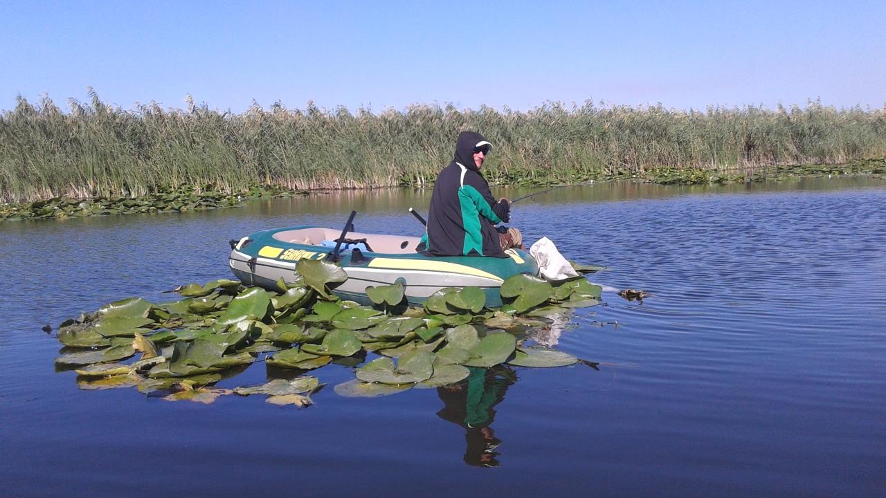 somova  - 201509191543301.jpg